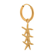 You’re my seastar hoop gold