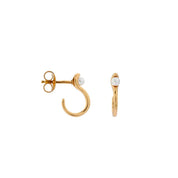 Ocean terra hope gold