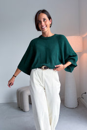 Merel pulletje groen