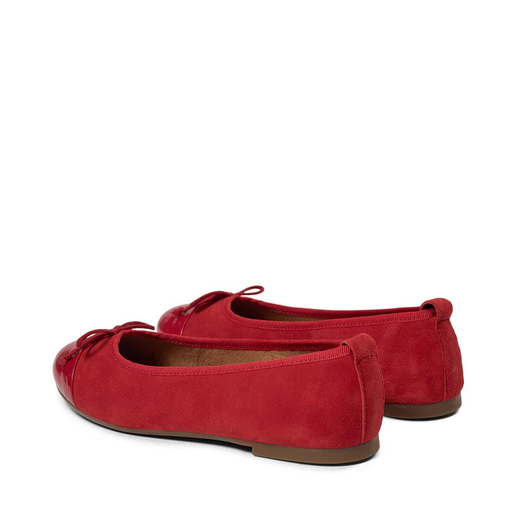 Lucy ballerina's