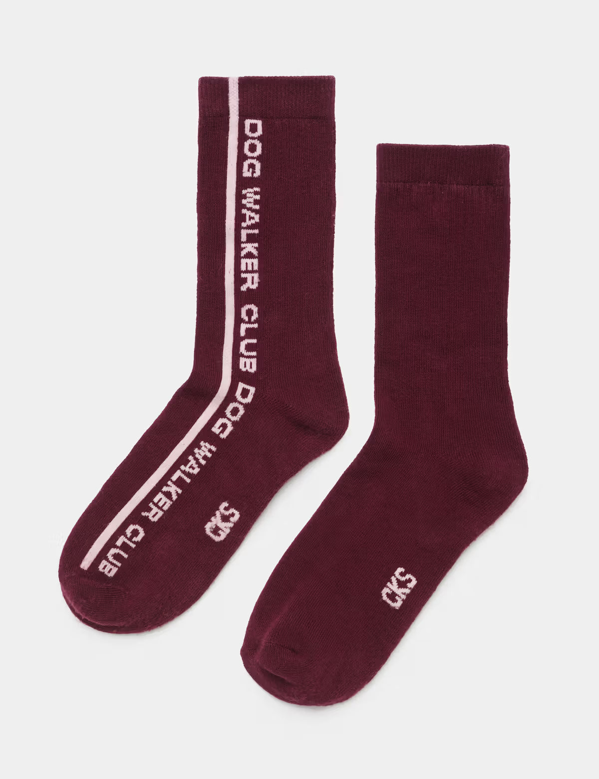 dogwalkertext_jpg.avif